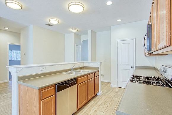 317 Shady Shoal (011)