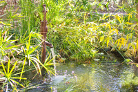 RVN_2802