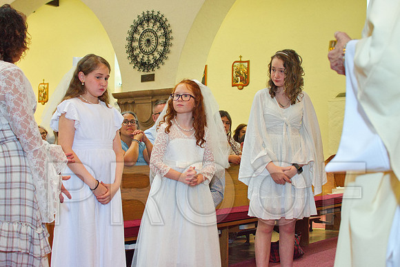 RVN_2013