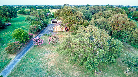 DJI_0503_11