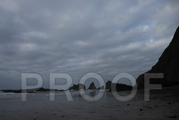 RVN_3913