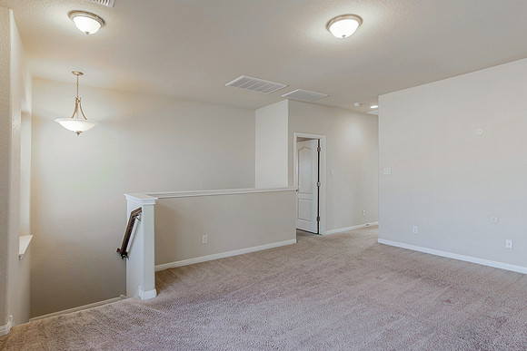 9923 Jon Boat Way (031)