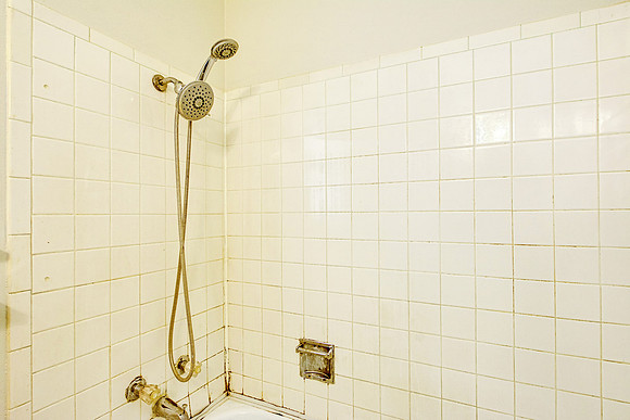 3111 Royalton Drive (027)