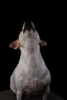 RVN_0426