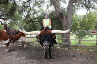 On the Bull