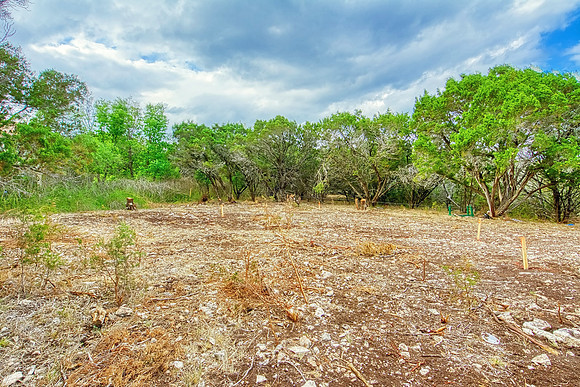 1065 Live Oak Dr (06)