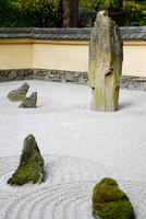 RVN_3790