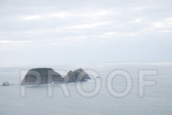 RVN_3872