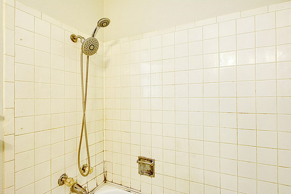 3111 Royalton Drive (027)