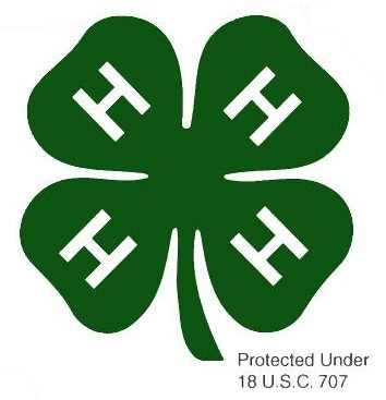 clover green