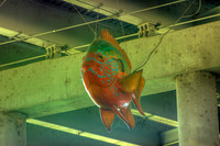 D71_8741_2_3_4_5