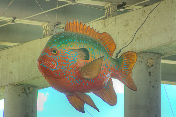 D71_8776_77_78_79_80