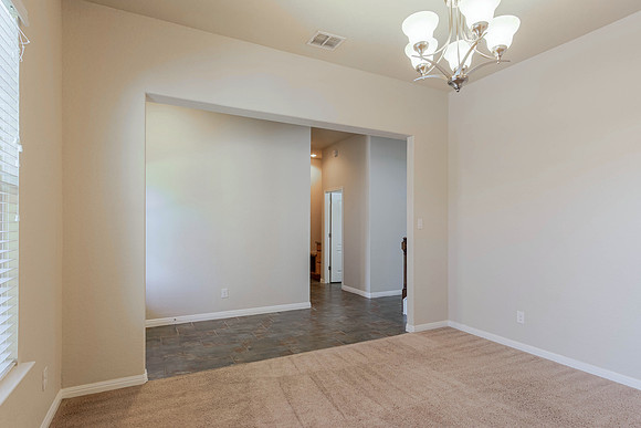 9923 Jon Boat Way (005)