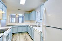 11007 Colt Isle-MLS (010)