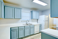 11007 Colt Isle-MLS (011)