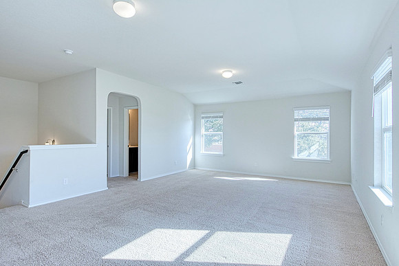 29538 Spring Copper MLS (025)