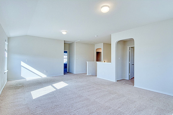 29538 Spring Copper MLS (026)