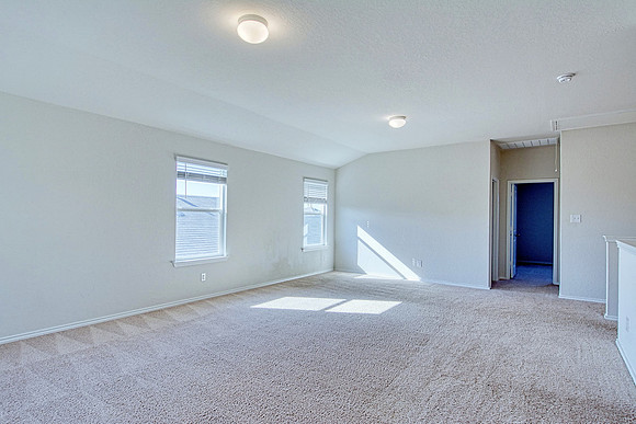 29538 Spring Copper MLS (027)