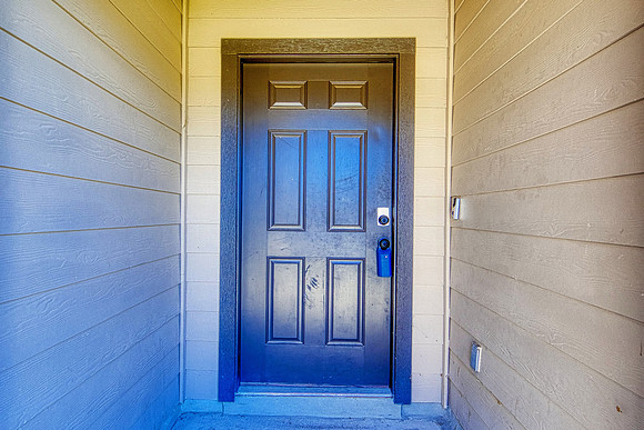 29538 Spring Copper (004)