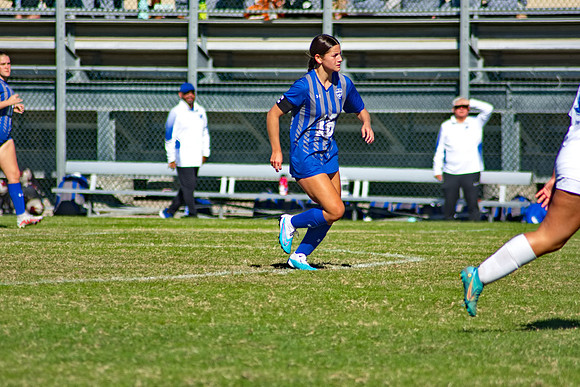 RVN_0184