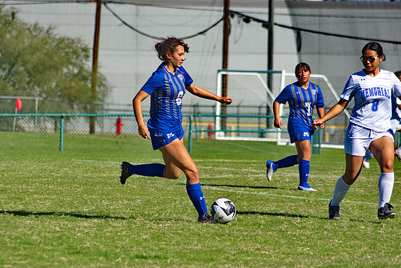 RVN_0236