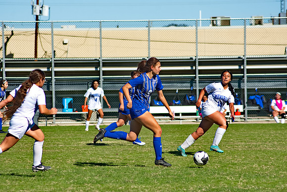 RVN_0267