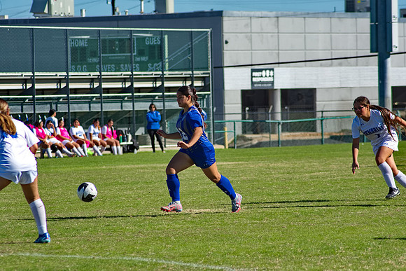 RVN_0335