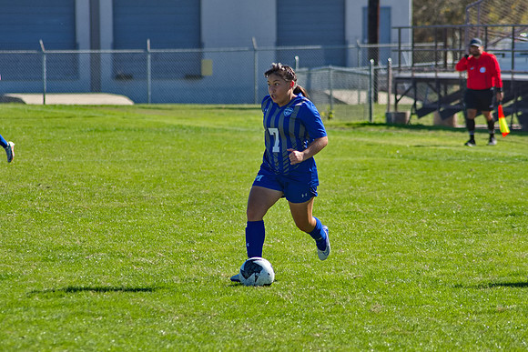 RVN_0381