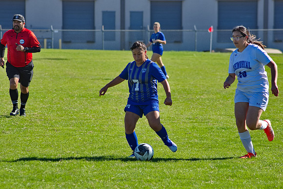 RVN_0383