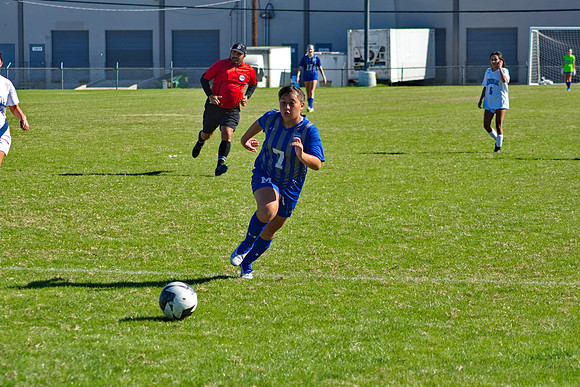RVN_0445