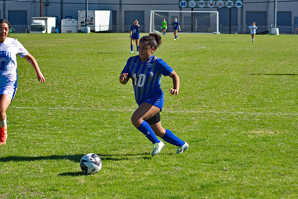 RVN_0481