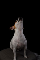RVN_0428
