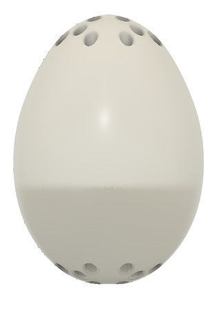Egg