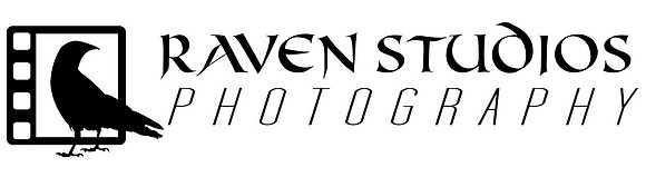 Raven Realty banner