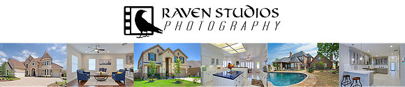 Web Banner Realty (Zenpage)