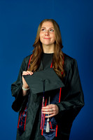 RVN_3931