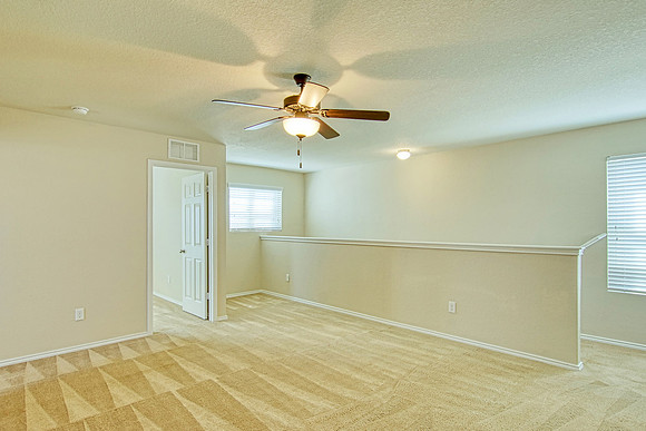 156 Elderberry-MLS (022)