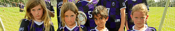 Lowwer School banner
