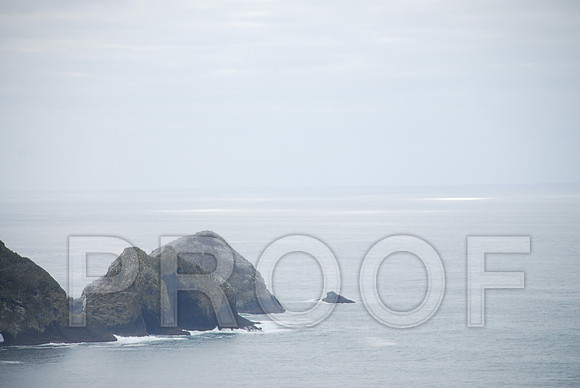 RVN_3870