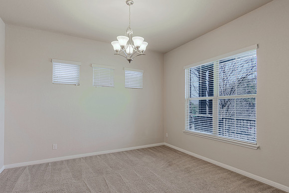 9923 Jon Boat Way (006)