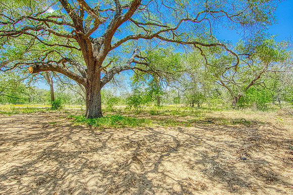 Vista Hills Lot 96 (035)