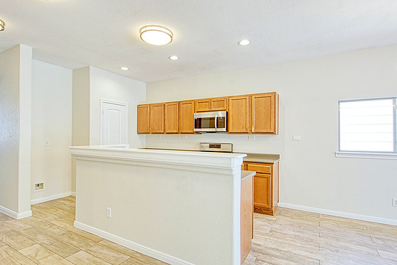 317 Shady Shoal (010)
