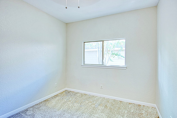 317 Shady Shoal MLS (030)