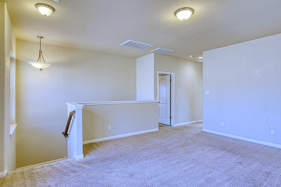 9923 Jon Boat Way (031)