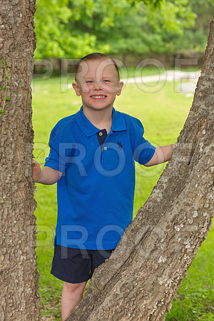 RVN_0164