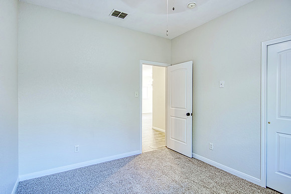 317 Shady Shoal MLS (034)