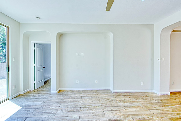 317 Shady Shoal MLS (020)
