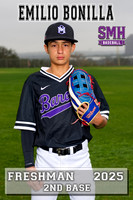 Baseball Banner download