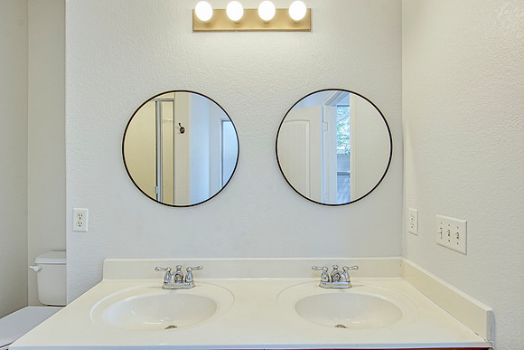 317 Shady Shoal MLS (025)