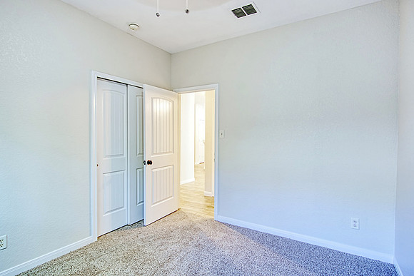 317 Shady Shoal MLS (031)